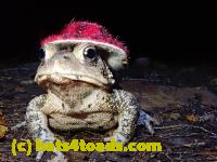 /home//u458753944/public_html/sourcegallery//McKaig Nature Center/2020-09-27/P9270737.JPG